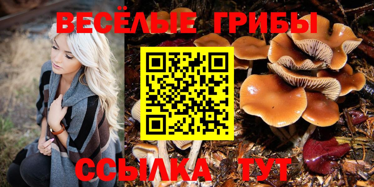 NBOMe Анапа